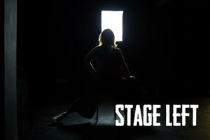 STAGE LEFT, A Documentary Web Series That Explores Theatre And Community, Will Debut In 2020 Image