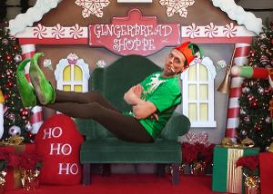 TADA Theatre to Present THE SANTALAND DIARIES This Holiday Season  Image