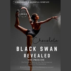 Philadelphia's Chocolate Ballerina Company To Provide Public Preview Of Upcoming All-Black Production Of SWAN LAKE Image