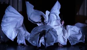Jody Sperling/Time Lapse Dance Celebrating 20 Years In 20 Weeks This Month Image