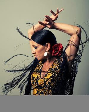 Nai-Ni Chen Dance Company Announces Bridge Classes October 12-16 Image
