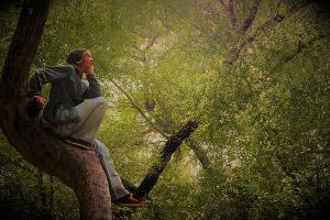 New Fortune Theatre Returns With AS YOU LIKE IT Outdoors This Summer Image