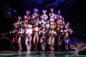 Broadway's CATS On Sale At Hobby Center, August 2 Image