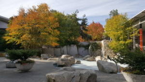 Seattle Center Seeks Input To Design The Future Of Dupen Fountain Image