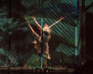 RIOULT Dance NY Announces Summer Intensive for Pre-Professional Dancers Image