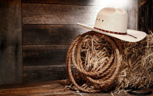 Elko Cowboy Music & Poetry Gathering Comes To Napa Valley Image