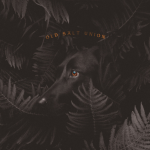 Old Salt Union Album 'Where The Dogs Don't Bite' Out Today Image