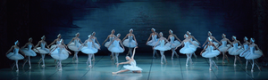 Russian Ballet Theatre's SWAN LAKE Comes To Popejoy Hall 