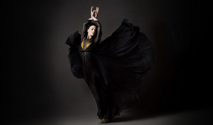 Greta Hodgkinson To Retire As Principal Dancer At National Ballet of Canada Image