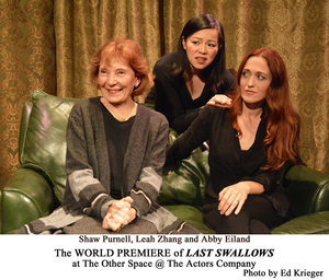 Pandelia's Canary Yellow Company Presents The World Premiere Of LAST SWALLOWS 