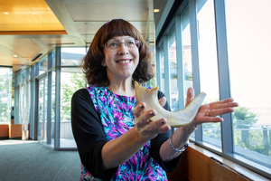 Museum Of Jewish Heritage In NYC Unveils Shofar That Survived Auschwitz Image