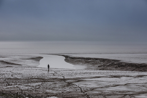 The Art House Gallery Presents LOST, THEN FOUND Image