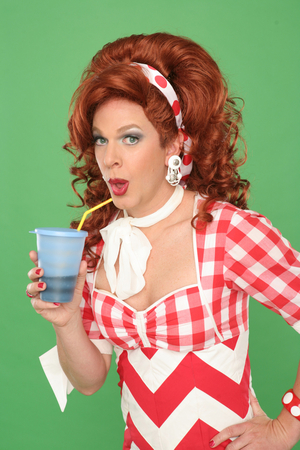 DIXIE'S TUPPERWARE PARTY Comes to The Playhouse @ Westport Plaza Image