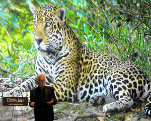 Alberta Bair Theater Kicks Off Nat Geo Speaker Series With ON THE TRAIL OF BIG CATS With Steve Winter Image