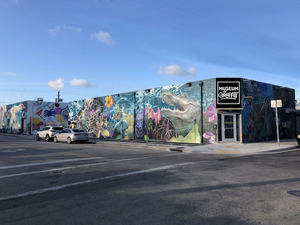 The Museum Of Graffiti, A New Contemporary Art Museum, To Open In Miami  Image