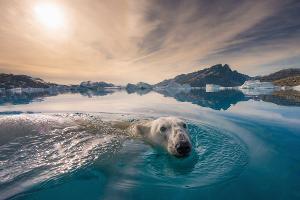 NAT GEO LIVE Comes To The Broad Stage In December Image