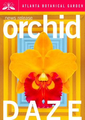 Orchid Daze Celebrates Latin Landscapes 