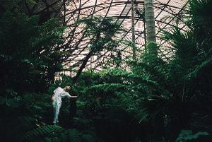 Forest Collective Return To Midsumma With CHLOROPHYLL Image