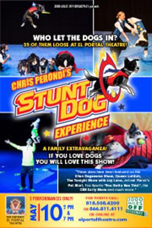 El Portal Theatre Kicks Off 2020 With Ice Skating On Stage, 35 Stunt Dogs And More! 