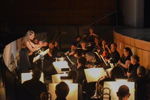 Sudbury Savoyards Presents HMS PINAFORE Image