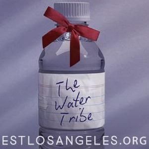 THE WATER TRIBE Runs Through February 16 At Vs. Theatre Image