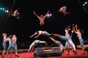 Circus Harmony Honored by FOCUS St. Louis 