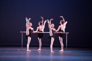 Miami City Ballet Stages Family-friendly Event In Pompano Beach Image