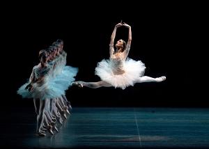 American Ballet Theatre to Cancel March Performances Image