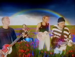 5 Seconds Of Summer Share Homemade 'Wildflower' Music Video Image