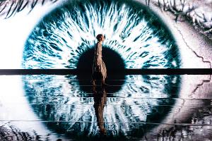 Sydney Chamber Opera and Carriageworks Present World Premiere Online Of BREAKING GLASS Image