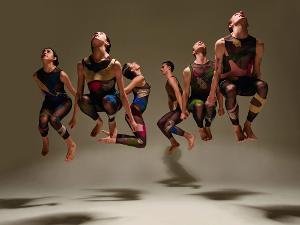 Stephen Petronio Company Announces Online Programming and More Image