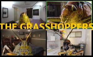 Buntport Theater Company Announces THE GRASSHOPPERS 