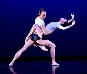 Chamber Dance Offers Free Zoom On Contemporary Ballet 