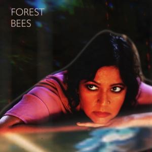 Forest Bees Releases New Album Image