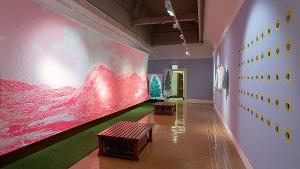 Arts Council Funding Gives Museum & Art Gallery Green Light For New Digital Project Image