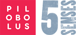 The 3rd Annual Five Senses Festival Announces Schedule And Ticket Sales Image