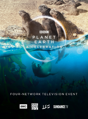 BBC America Brings Harmony To Homes This Summer With PLANET EARTH: A CELEBRATION  Image