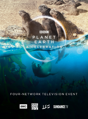BBC America Brings Harmony To Homes This Summer With PLANET EARTH: A CELEBRATION Image