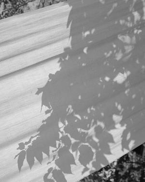 RISD 2020 MFA Photography Show Opens Thursday At ClampArt Image