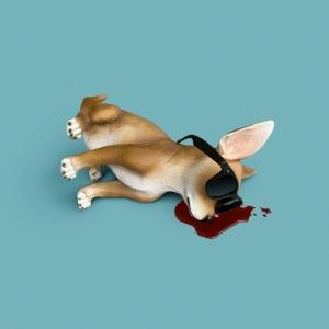 Lo Tom to Release New Album LP2 in September Image