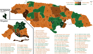 Jamaica's 2020 Election Covered By Reggae King Radio Image