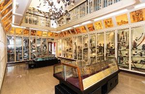 Warrington Museum & Art Gallery Launches New App Image