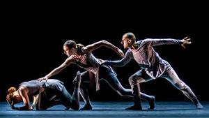 Carlsen Center Presents New Dance Partners Virtual Retrospective Image