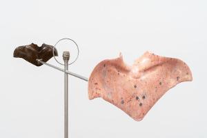 Now On View: Julia Phillips At Matthew Marks, Online And By Appointment Image