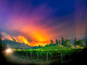 Napa Valley Museum Announces New Virtual Exhibit REAL/TIME: ART OF THE MOMENT – TESTED BY FIRE 