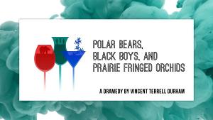 Playfest 2020 to Present POLAR BEARS, BLACK BOYS, AND PRAIRIE FRINGED ORCHIDS  