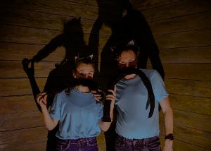 Elm Street Brings Shakespeare Comedy Outdoors with A COMEDY OF ERRORS Image