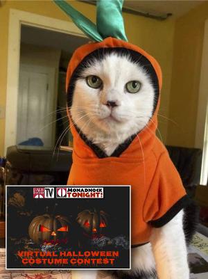 Park Theatre Holds Virtual Halloween Costume Contest Image