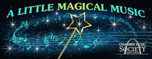 CMSSL Offers Free Video Concert To Retirement Facilities Image