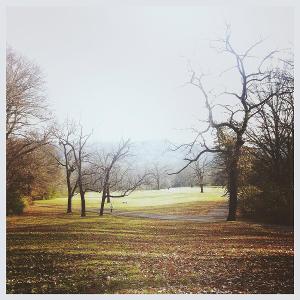 Listen To Molly Parden's EP 'Rosemary' – Out Today Image